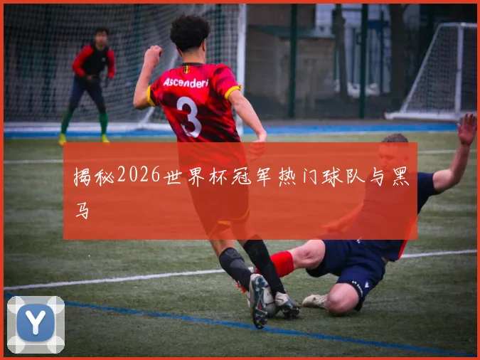 揭秘2026世界杯冠军热门球队与黑马